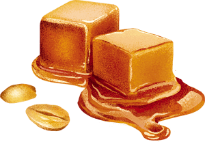 Wyjątkowe batony proteinowe